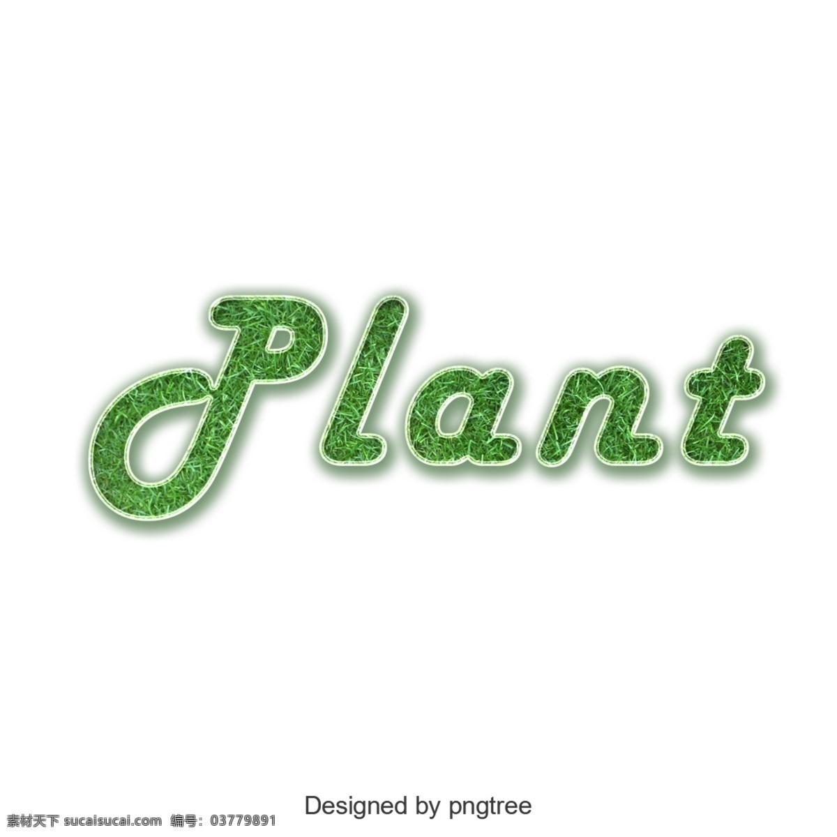 植物 绿色 性格 照明效果 png元素 艺术 透明的元素 元素 英语 字母 清新