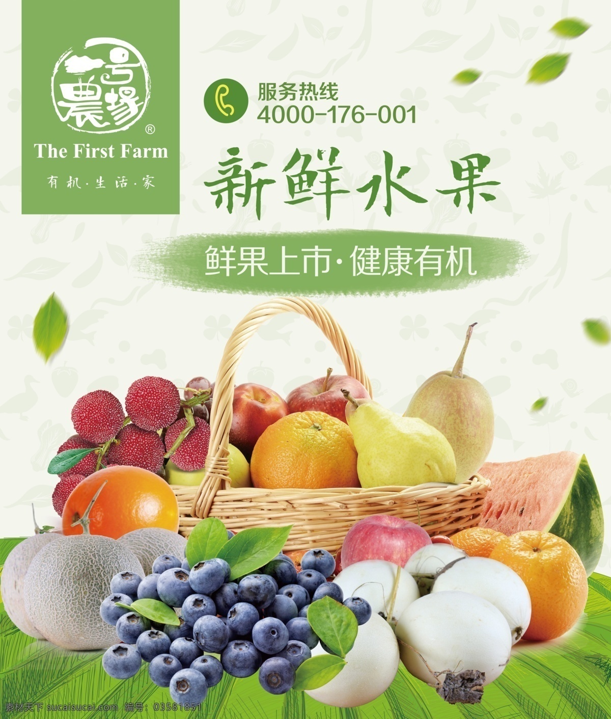 水果宣传单页 有机 绿色 水果 套餐 蓝莓 甜瓜 杨梅 宣传 单页 dm宣传单