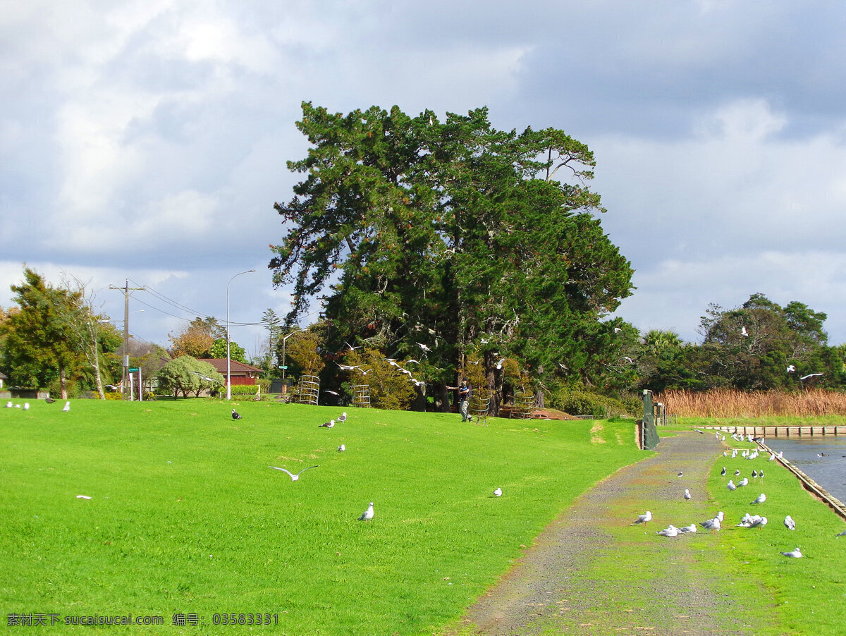 新西兰 野鸭湖 风景 蓝天 阴云 绿树 绿地 草地 湖水 游人 新西兰风光 旅游摄影 国外旅游 绿色