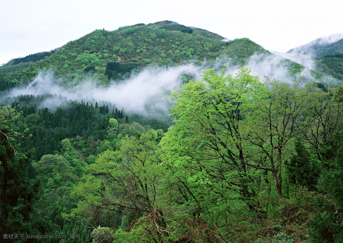 山峰 树林 美景 美丽风景 自然风景 风景摄影 大自然 景色 山水风景 大雾 风景图片