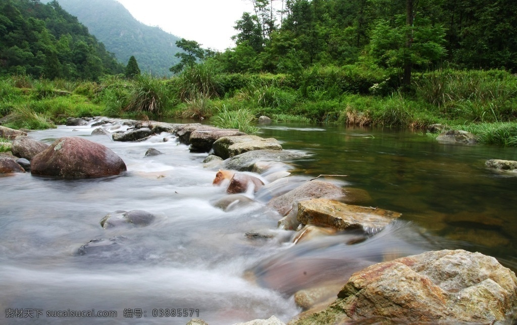 溪流 小溪 溪水 小溪流水 流水 水流湍急 自然景观 自然风景