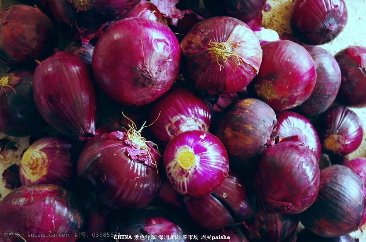 球体 深圳 生物世界 食品 食物 市场 蔬菜 紫色洋葱 销售 土长 须根 层状 龙岗 嶂背 菜市场 蔬菜总汇 生物景观 风景 生活 旅游餐饮