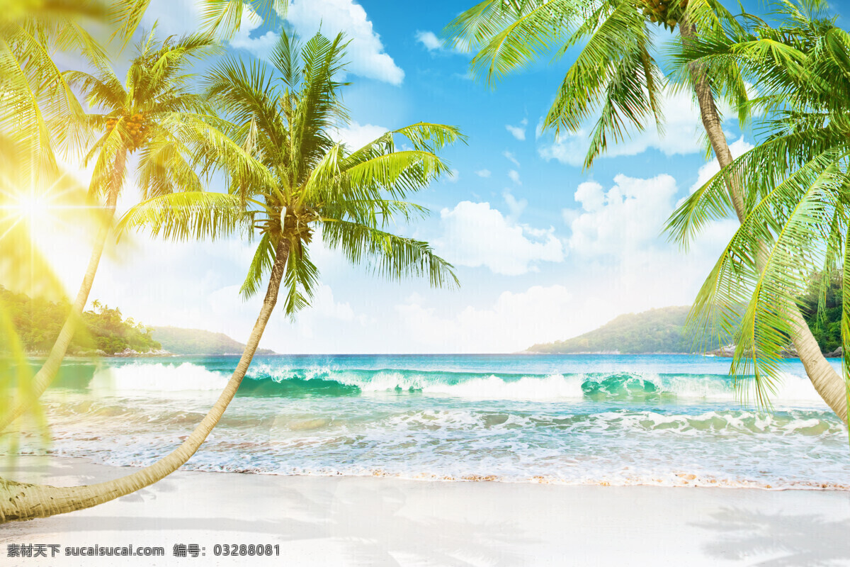 秦皇岛大海 唯美 风景 风光 旅行 自然 秦皇岛 大海 海 海景 椰子树 旅游摄影 国内旅游