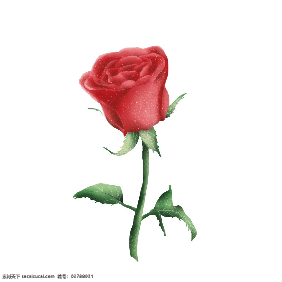 玫瑰花 写实 小 清新 水彩 元素 玫瑰 小清新 叶子 红色 水彩风