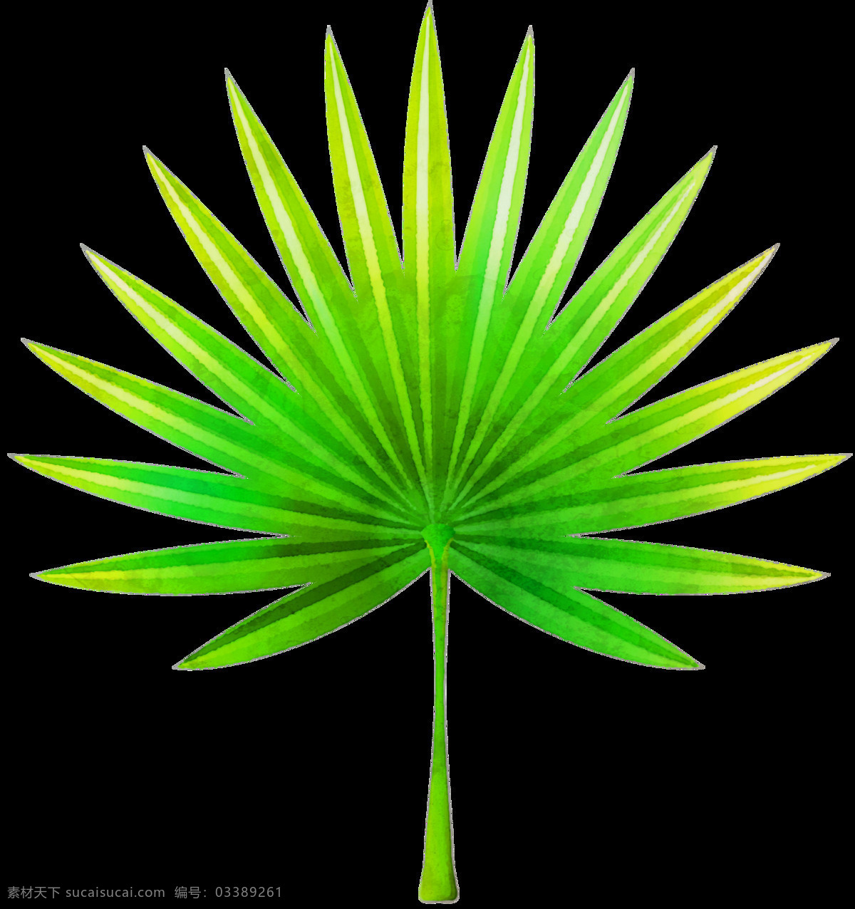 手绘 扇形 叶子 透明 彩绘 尖锐 绿色 免扣素材 水彩 透明素材 植物 装饰图案