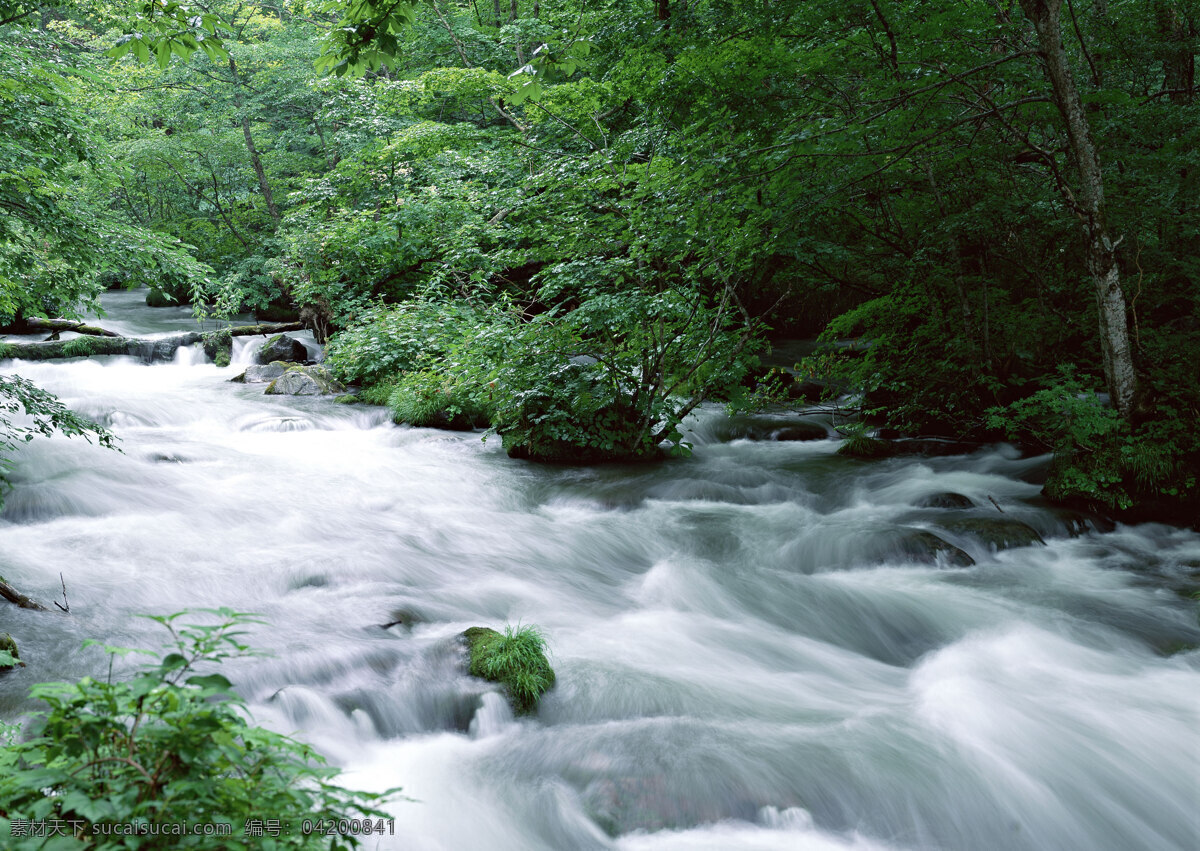 湍急的河流 自然 风景 水花 水雾 溅出 湍急 急流 河流 自然风景 自然景观 黑色