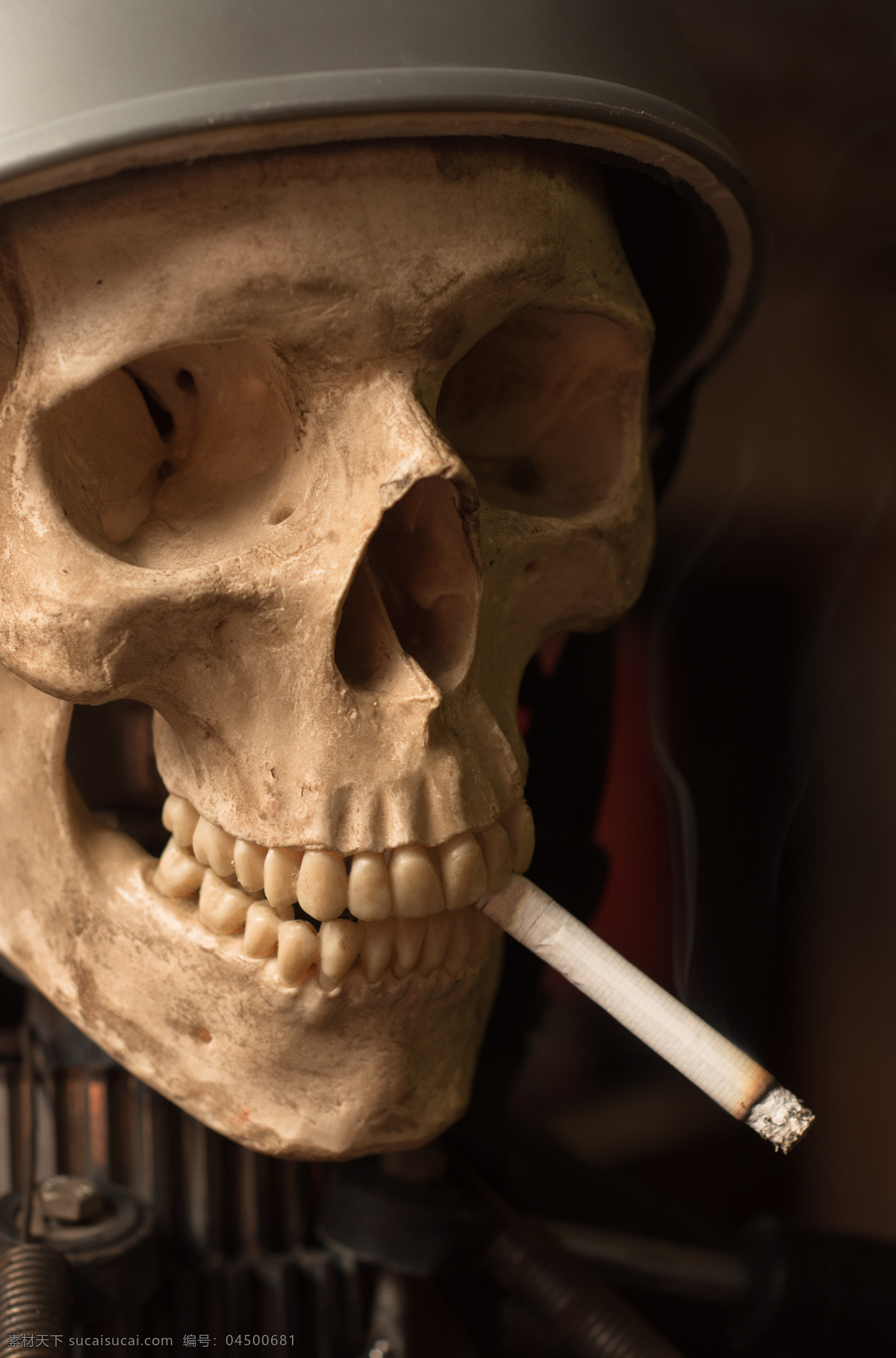 人类 头骨 人体头骨 医学 解剖 骨科 法医 人体 骷髅 正面 五官 面部 人体解剖 烟头 医疗护理 现代科技 其他人物 人物图片