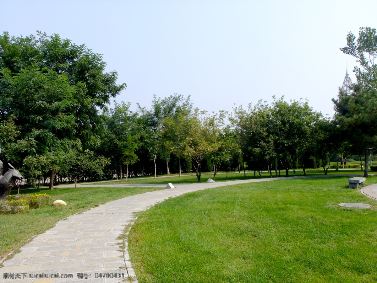 公园绿地 绿地 树林 绿草 小草 林间 秋色 自然风景 树荫 草地 绿色植物 树木树叶 生物世界