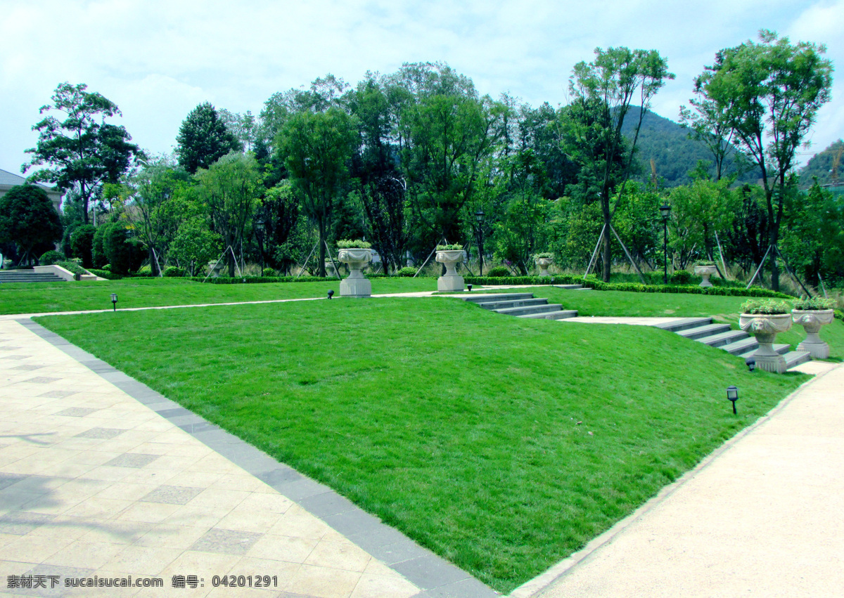 草坪 草地 绿地 绿草 草丛 绿树 蓝天白云草地 蓝天 白云 蓝天白云 风景 姹紫嫣红 自然风景 自然景观