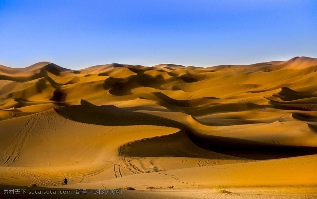沙漠 桌面 风景 美景 旅游图片 旅游 旅游摄影