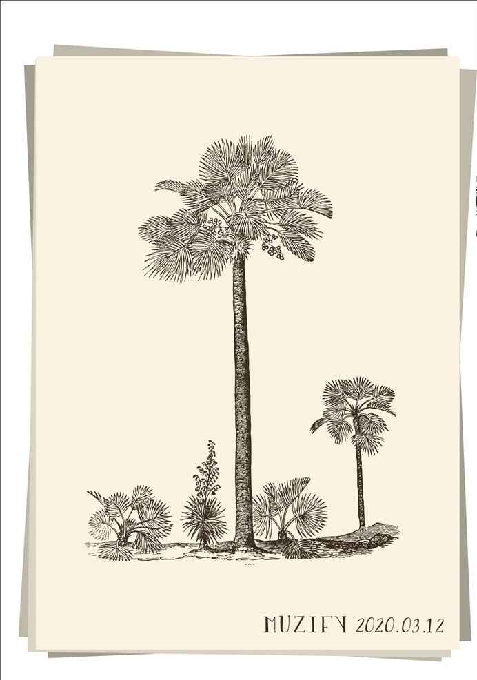 棕榈树手绘稿 棕榈树 棕榈油 棕榈叶 树木 手绘稿 素描画 生物世界 树木树叶