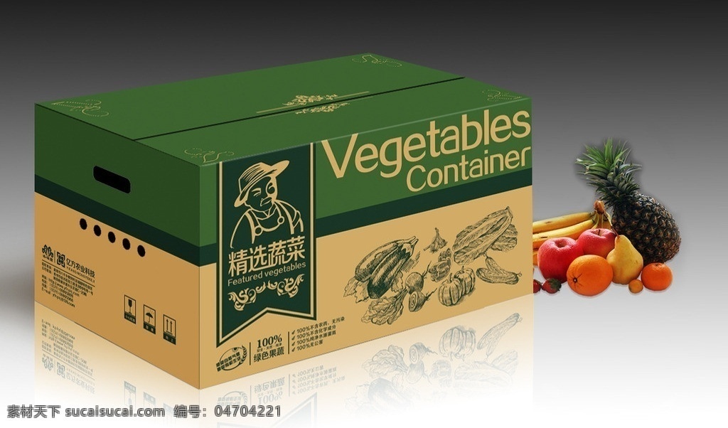 蔬菜 包装箱 展开 图 蔬菜包装箱 集装箱 农产品包装 蔬菜包装 有机蔬菜包装 绿色蔬菜包装 农产品集装箱 包装 包装设计 矢量