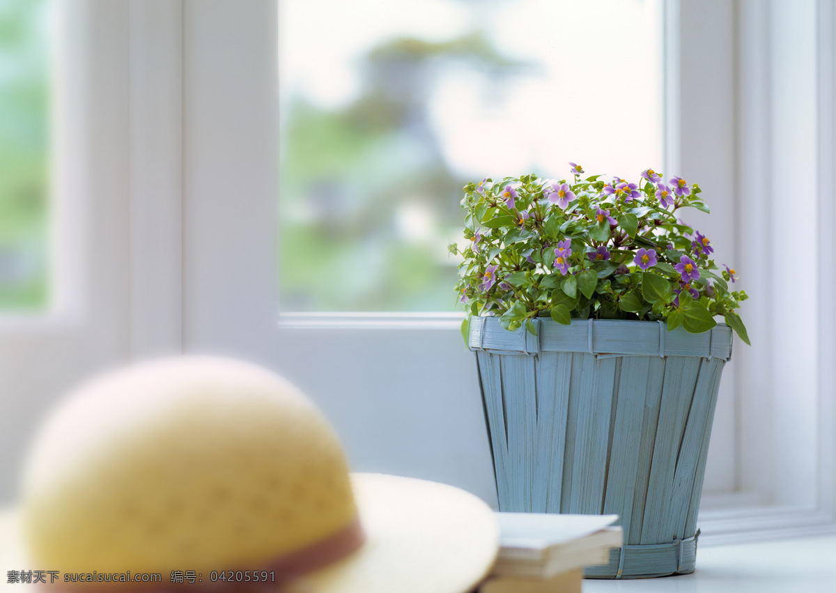 窗台 上 花篮 室内摄影 静物摄影 摄影素材 淡雅 生活百科 静物 家居生活 家居 植物 室内设计 环境家居