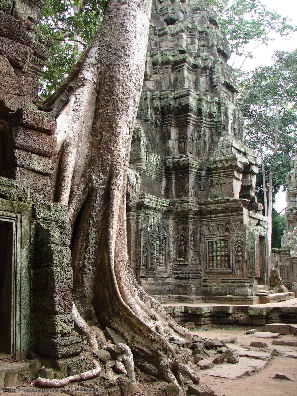 塔普倫寺 柬埔寨 国外旅游 旅游摄影