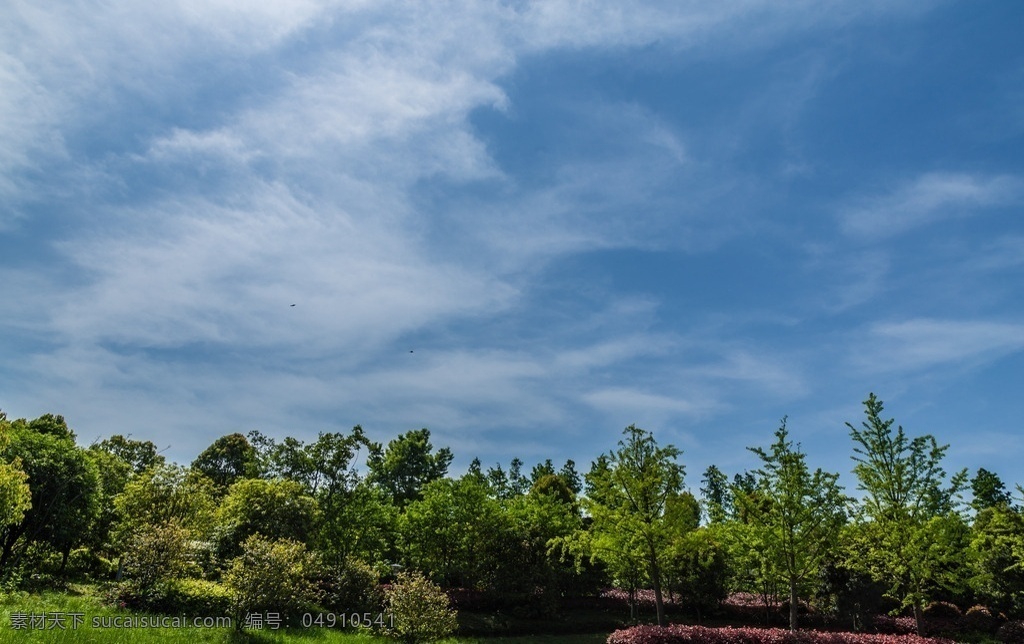 蓝天绿树 蓝天 绿树 天空 白云 高清 湿地公园 建筑园林 园林建筑