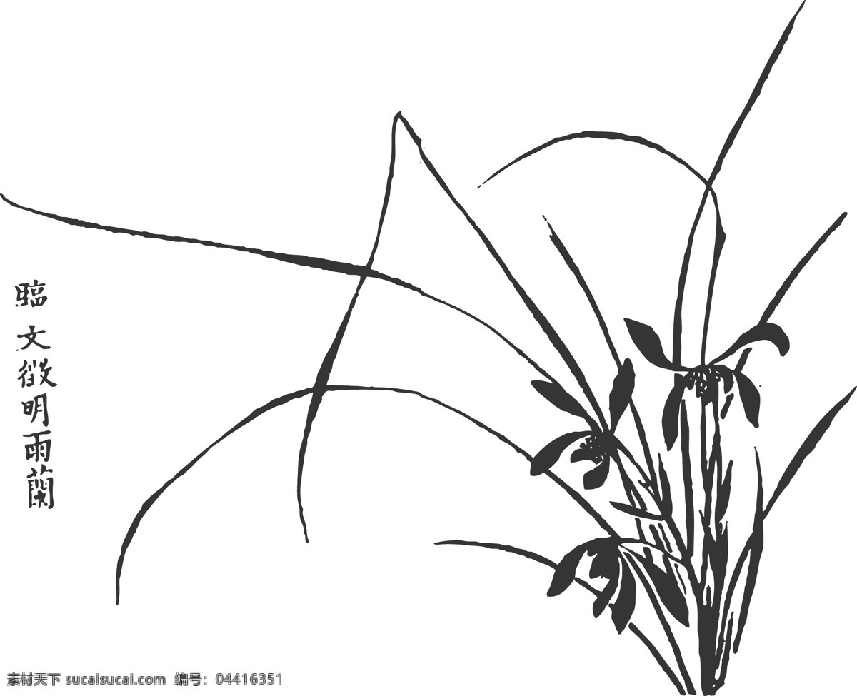 兰花 植物 花卉 观赏 线条 矢量 装饰 插画 白描 质朴文静 淡雅高洁 花卉白描图 生物世界 花草