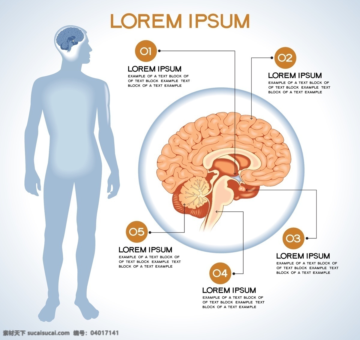 人体 解剖 信息 图表 大脑 人本器管 分类图表 数字 科学研究 医疗 医学 男性 男人 并列 对比 包含 循环 人体器官 演示文稿 ppt素材 模板下载 分析图表 矢量 图表设计 其他人物 矢量人物