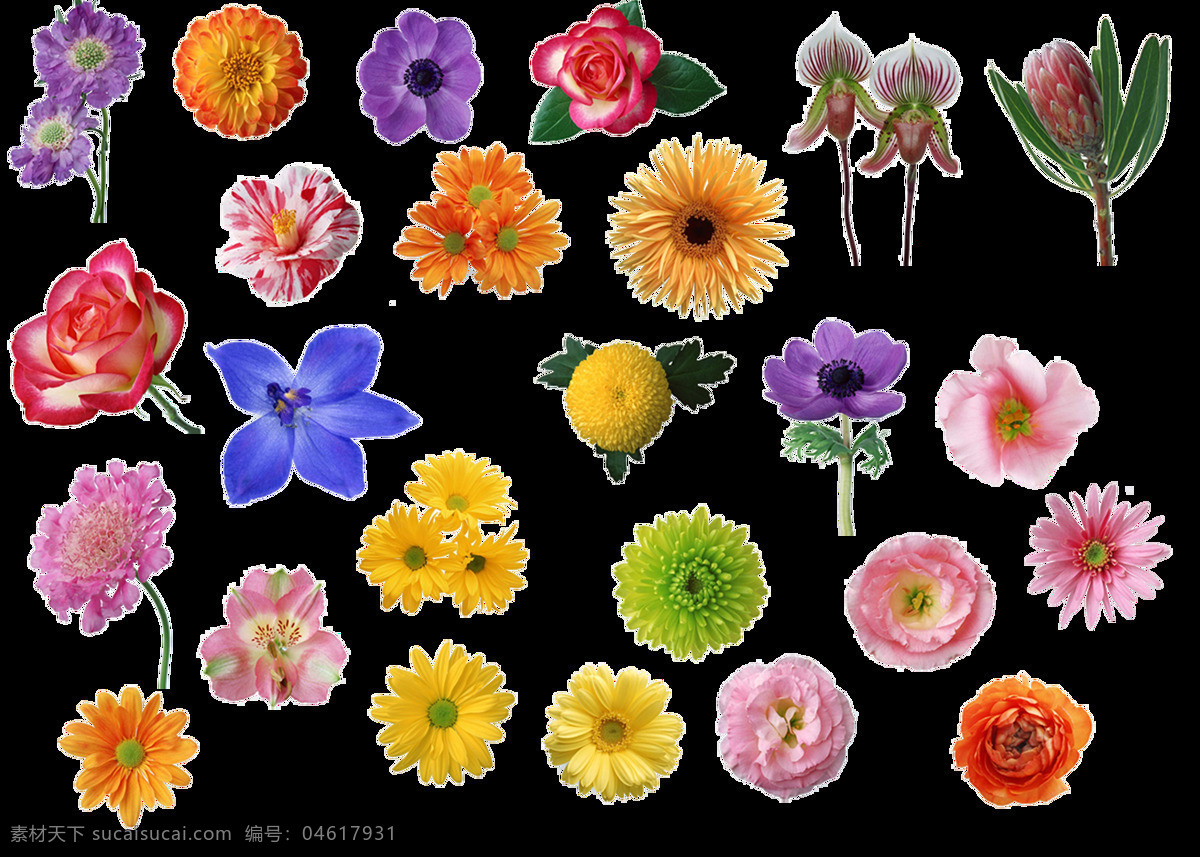 花卉 花朵素材下载 花朵模板下载 花朵 花纹素材 卡通花纹 花素材 绿色植物 叶子 绿叶 鲜花 植物类 花草 生物世界
