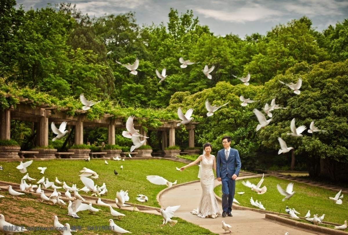 鸽子素材 婚纱照素材 调色图层 鸽子分层 psd调色 分层