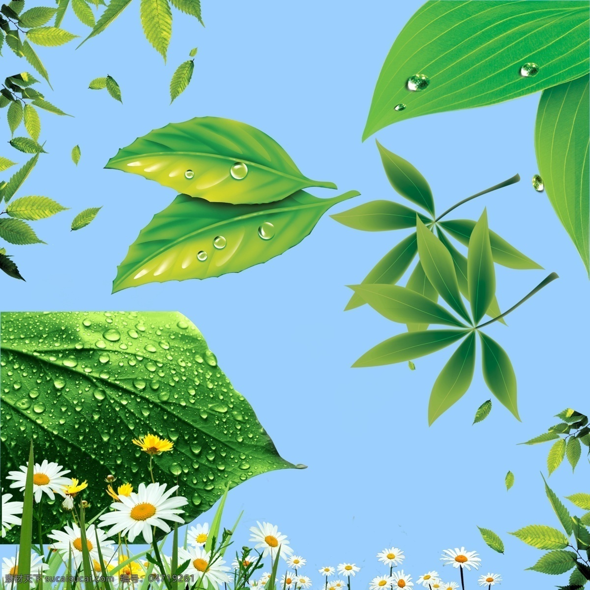 绿叶素材 清新素材 绿叶 水珠 野姜花 白色小花 飘落的树叶 树叶素材 分层 源文件
