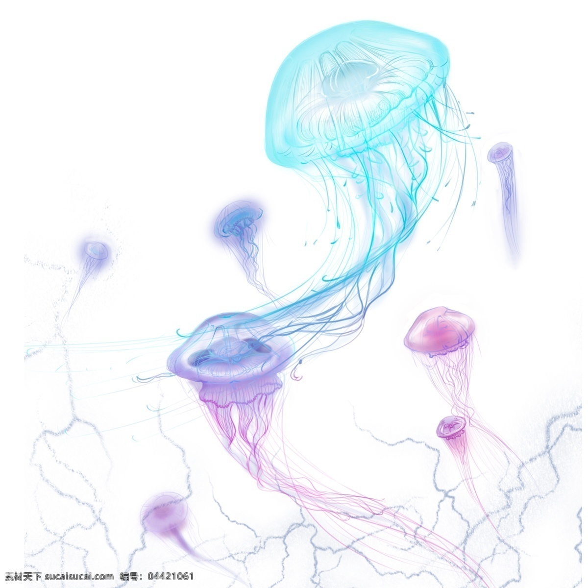 独特 透明 质感 水母 透明质感 紫色 海洋生物 插画