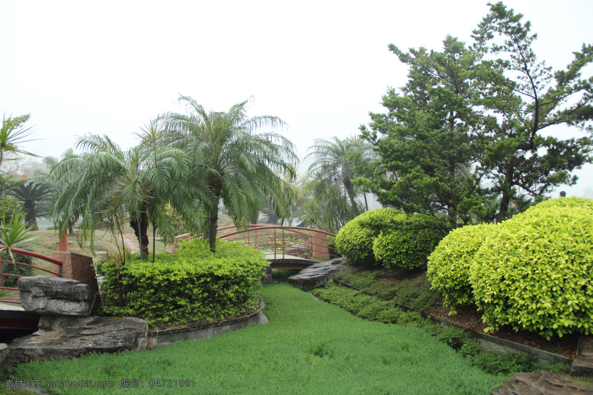 风景 公园 公园风景 建筑园林 树木 园林建筑 自然风景 千 灯 湖 一角 千灯湖公园 公园一角 装饰素材 灯饰素材