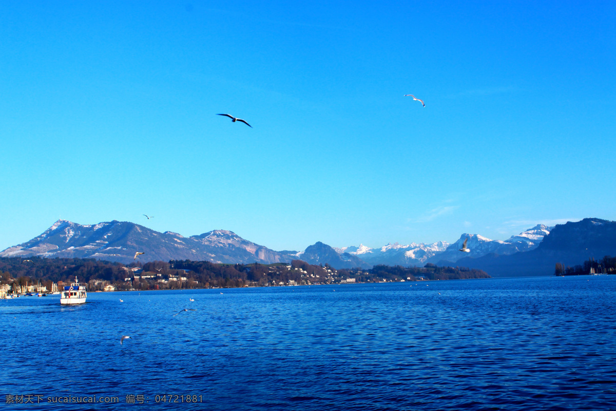 平静的湖 欧洲 瑞士 苏黎士 天鹅 湖水 蓝天 雪山 白鸽 展翔 阿尔卑斯山 岸边 游艇 波纹 大山 平静 湖面 国外旅游 旅游摄影