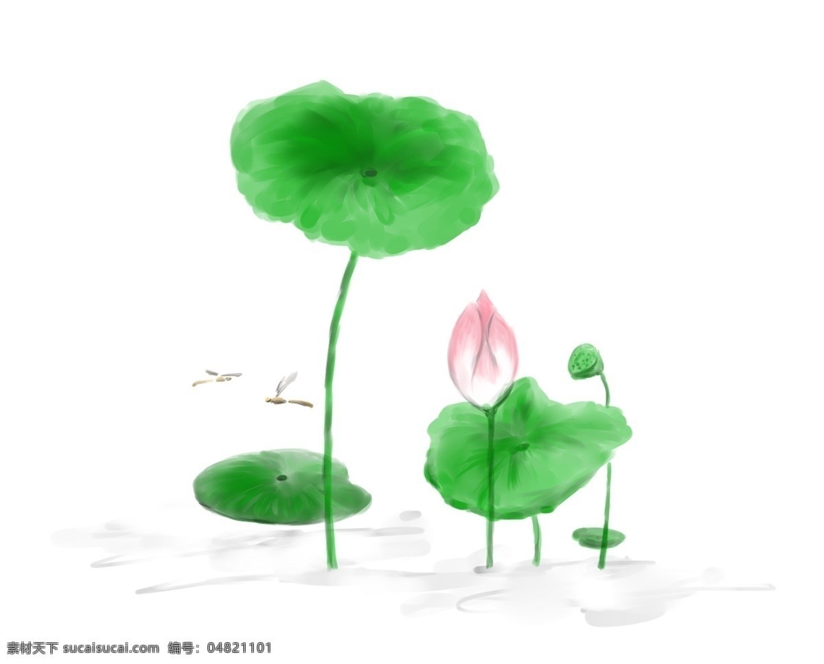 手绘 水彩 清明节 荷花 装饰 手绘风 荷叶 蜻蜓 夏天 绿色 莲蓬 绿叶 叶子 植物 自然