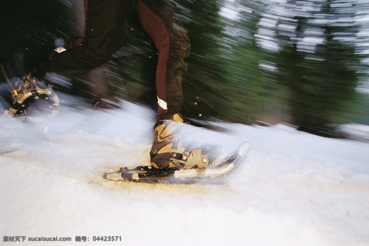 高山 滑雪 高清 雪地运动 划雪运动 极限运动 体育项目 运动员 下滑 速度 运动图片 生活百科 摄影图片 高清图片 体育运动 黑色