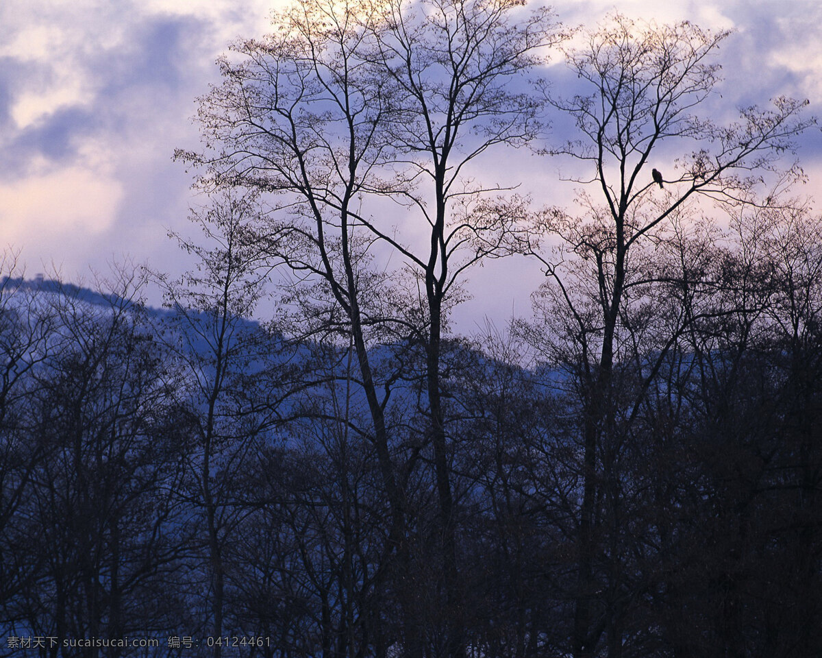 冬天 雪景 背景 冬天雪景 风光 风景 季节 摄影图库 自然 自然风景 自然景观 生活 旅游餐饮