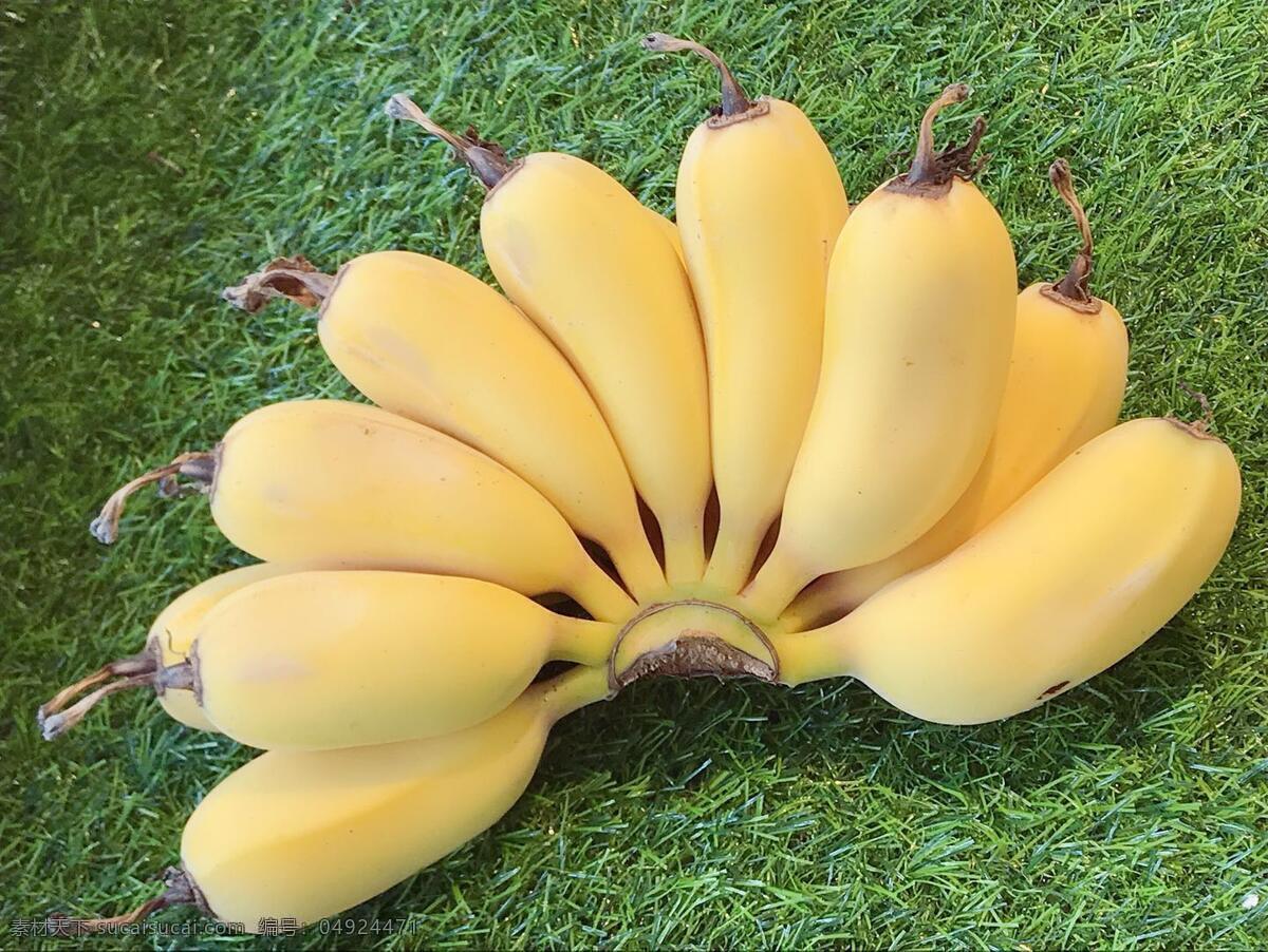 苹果蕉 香蕉 芭蕉 小香蕉 水果 餐饮美食