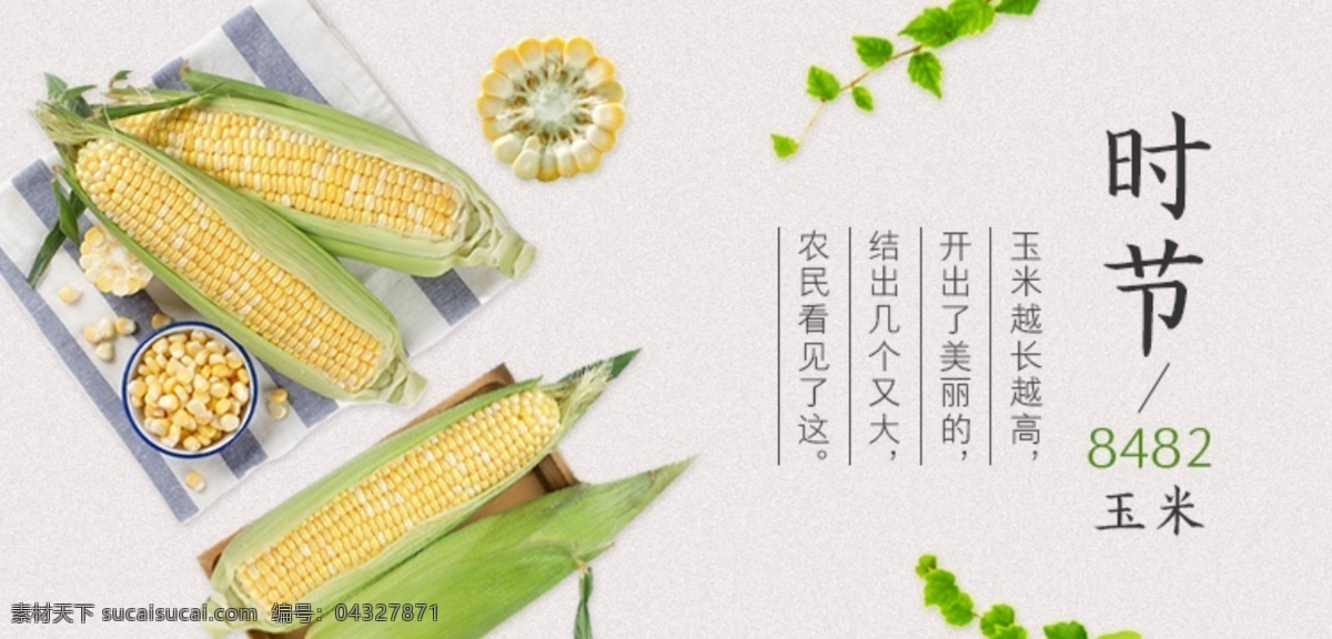 玉米 杂粮 banner 简洁 自然 清爽 淘宝界面设计 淘宝 广告