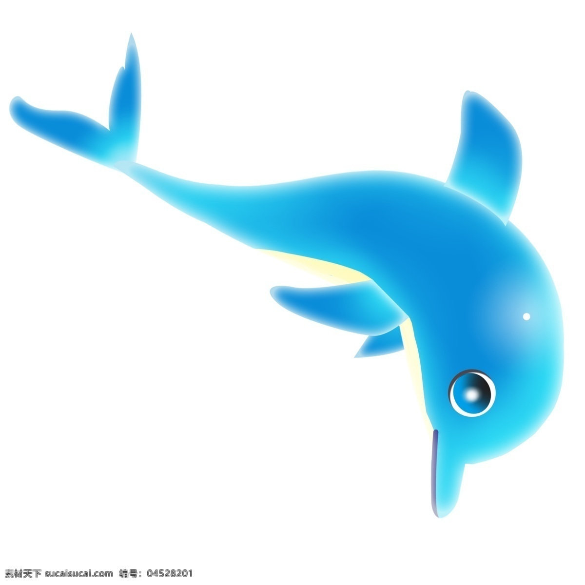 演出蓝色海豚 海豚 动物 野生