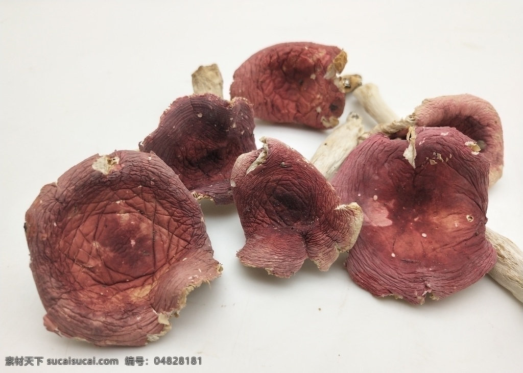 红菇图片 红菇 干红菇 菌类 菇类 红色