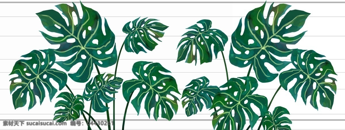 芭蕉叶 绿植 树叶 边框 底纹 背景 插画 清新 类 分层