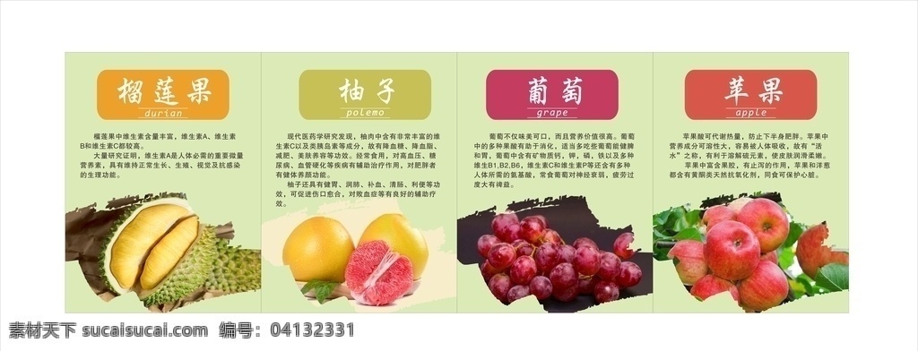 水果介绍 标签 平面设计 香蕉 柚子 苹果 葡萄