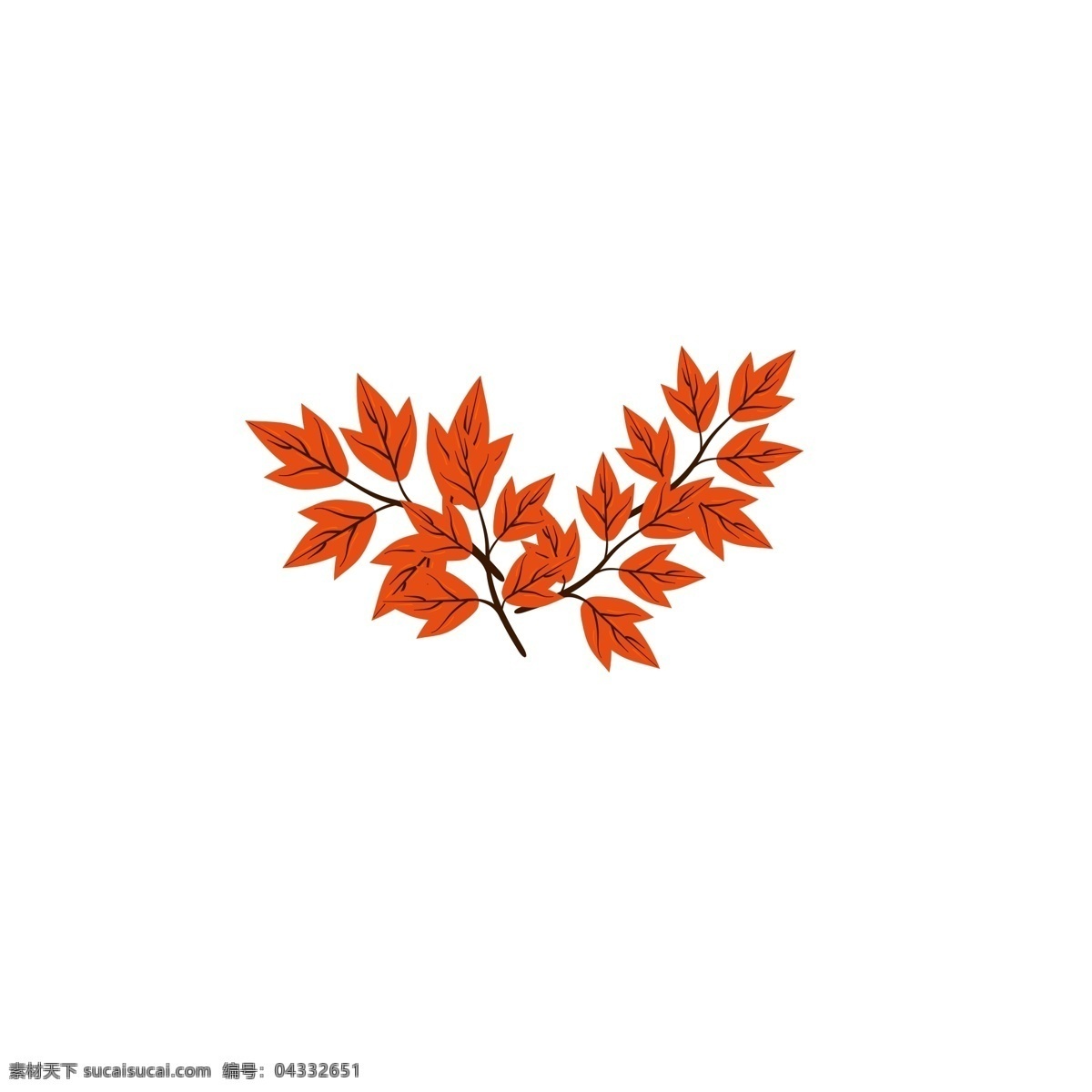 秋季 红叶 迷人 叶子 红色 秋色 枫叶 树叶 树枝 色彩 好看