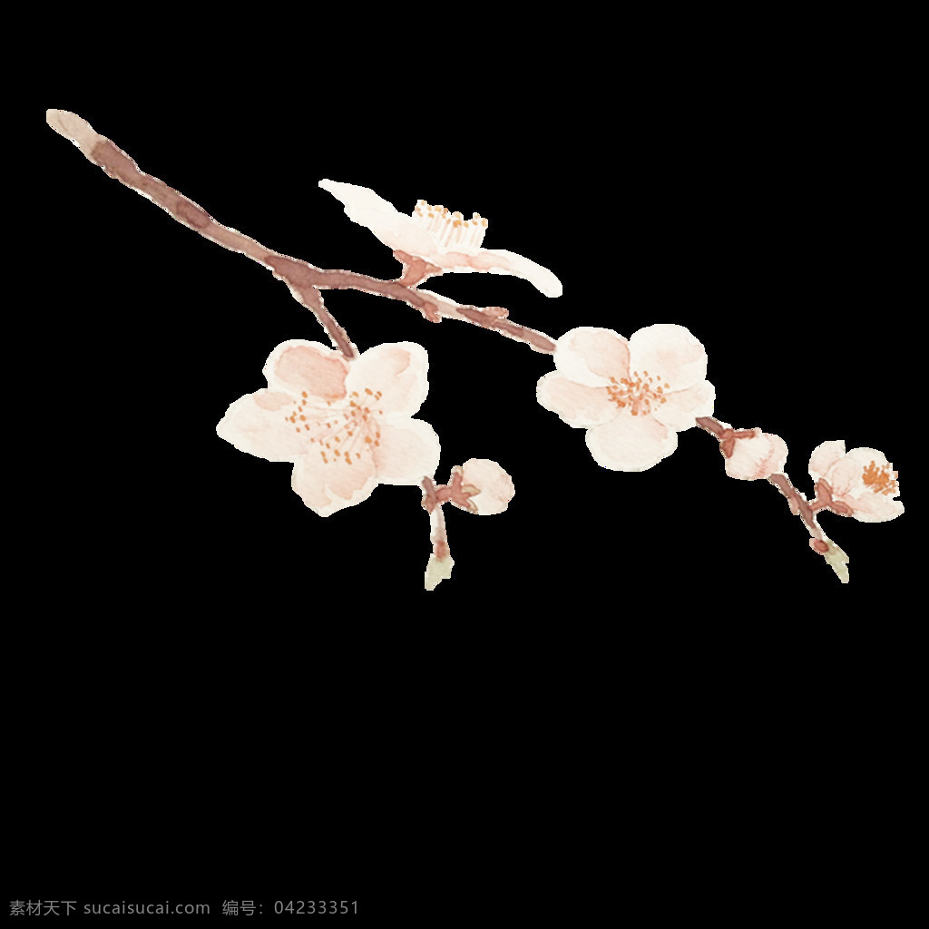 婉约 淡 粉色 花瓣 樱花 装饰 元素 淡粉色 褐色树枝 花枝 装饰元素