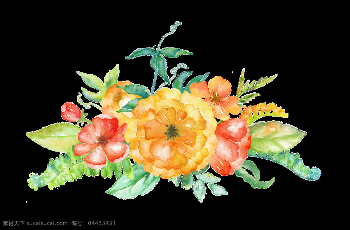 水彩植物 水彩花卉 彩色植物 卡通植物 清新植物 可爱植物 手绘植物 水彩风 清新 插图