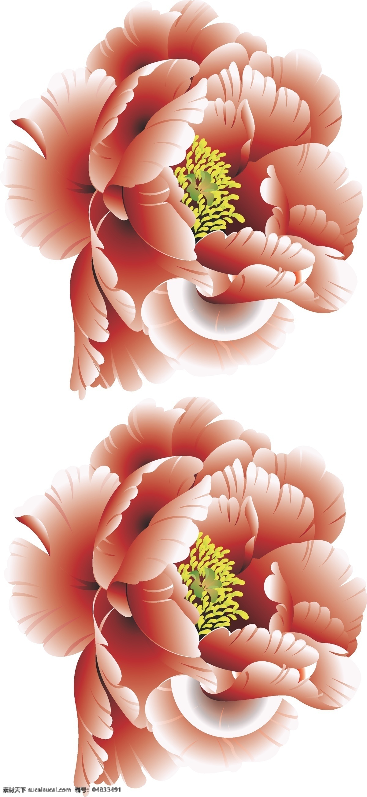 牡丹花 牡丹 富贵花 嫩黄 翠绿 黄色 花 西瓜红 渐变 矢量