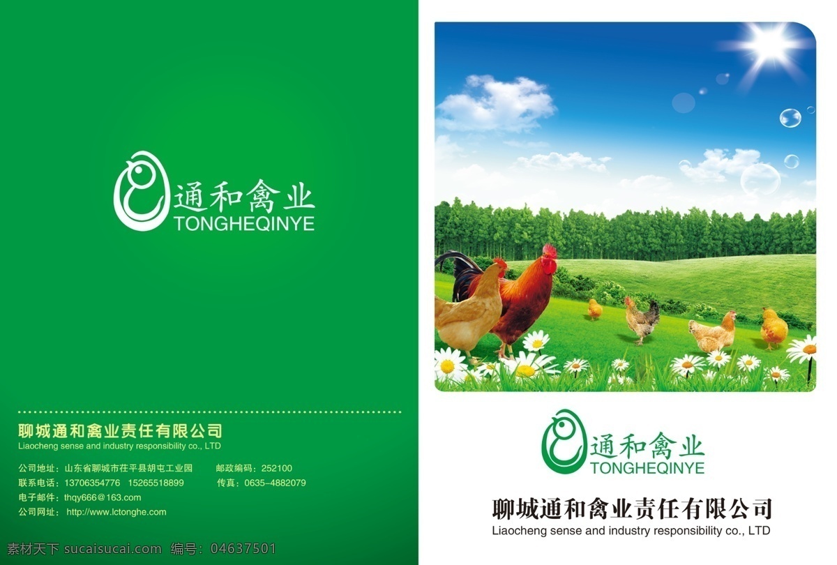 禽业画册 通和 禽业 画册 折页 绿色 高清 画册设计 广告设计模板 源文件