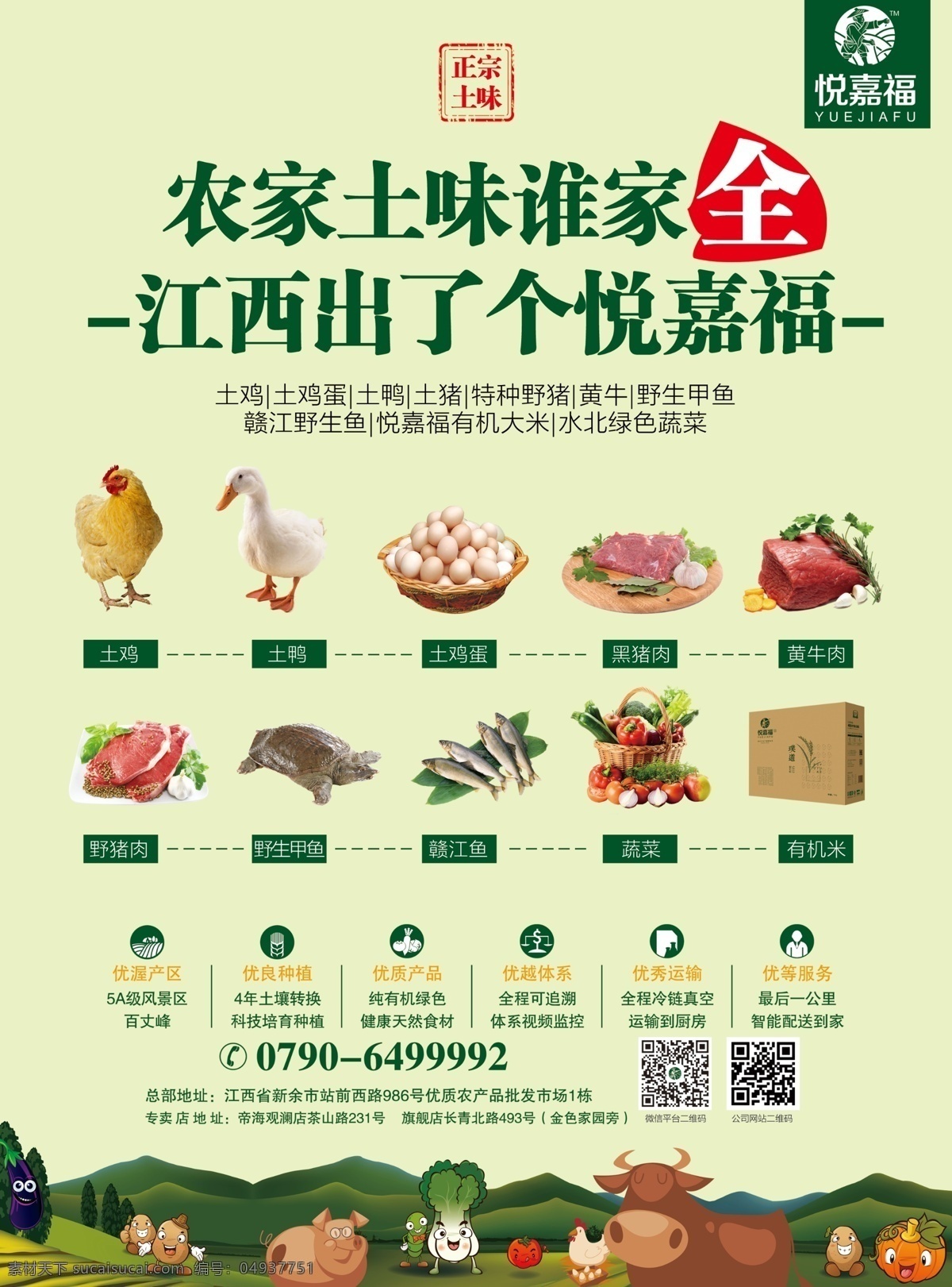 土特产 农产品 海报 绿色 健康食材 土味 宣传单