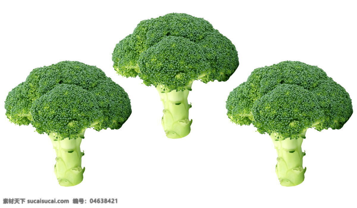 绿色 西兰花 蔬菜 花菜 绿色西兰花 绿色蔬菜 营养蔬菜 健康蔬菜 营养 健康 食物 食品 食材 生物世界