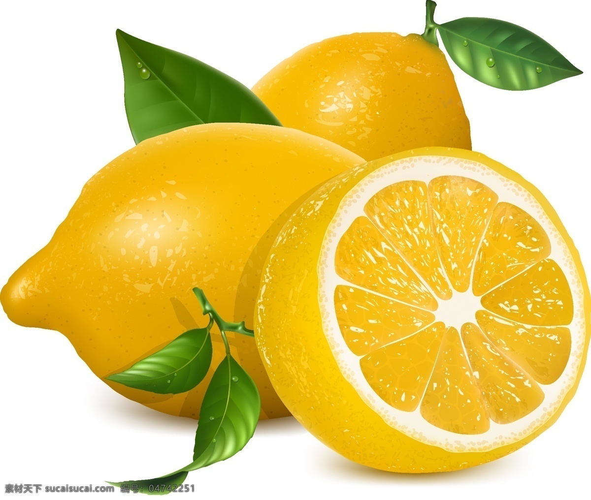 柠檬 橙子 柑橘 桔子 绿叶 生物世界 矢量素材 水果 新鲜 柠檬矢量素材 柠檬模板下载 新鲜水果 矢量 矢量图 日常生活