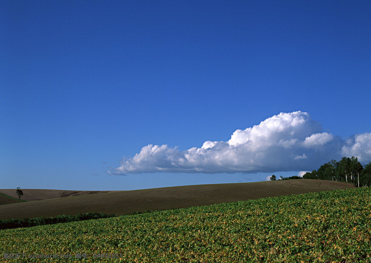 夏季 农作物 背景 天空 云朵 云层风景 白云 天空云海风景 蓝天 美丽风景 自然美景 风景摄影 蓝天白云 风景 云彩 晴空 各种天空 素材背景 自然景观 自然风景 天空素材