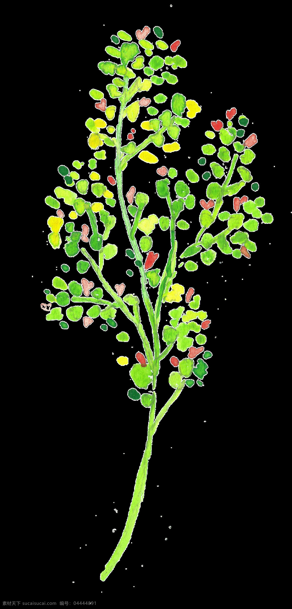 绚丽 颜色 植物 卡通 水彩 透明 免扣 手绘 透明素材 装饰 设计素材 淘宝素材 海报设计装饰 装饰图案