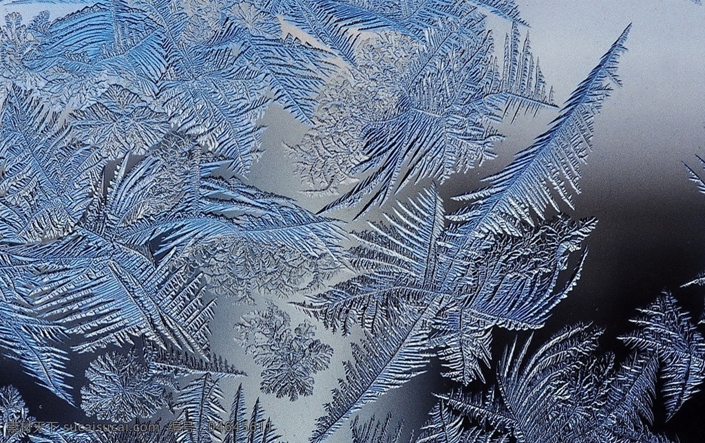 结冰 冬季 迷幻 唯美 冰花 冰晶 水结晶 霜 结霜 结晶 雪花 自然风景 自然景观