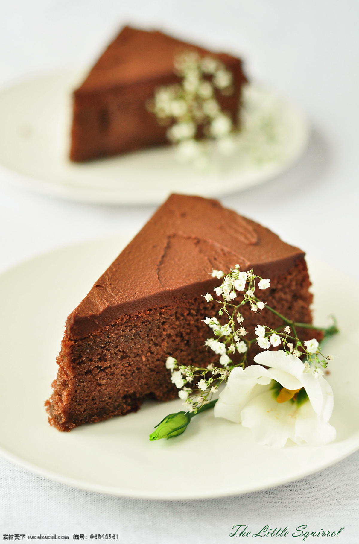 巧克力蛋糕 蛋糕 点心 甜点 美味 可口 漂亮 精致 花朵 西餐美食 餐饮美食