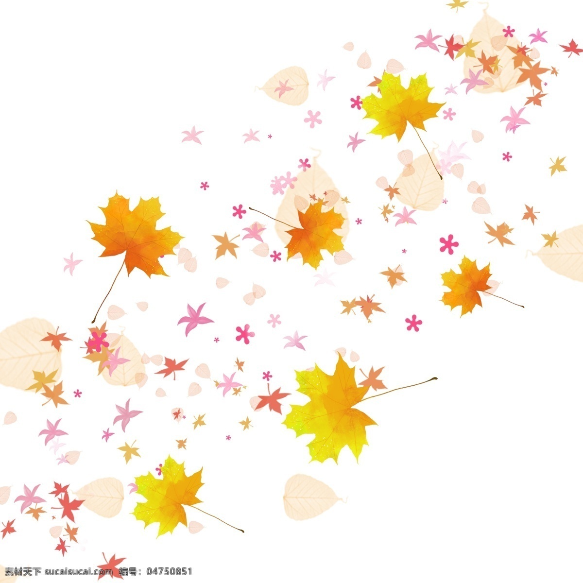漂浮 树叶 花瓣 植物 叶子 装饰 黄色 秋天 手绘 秋树