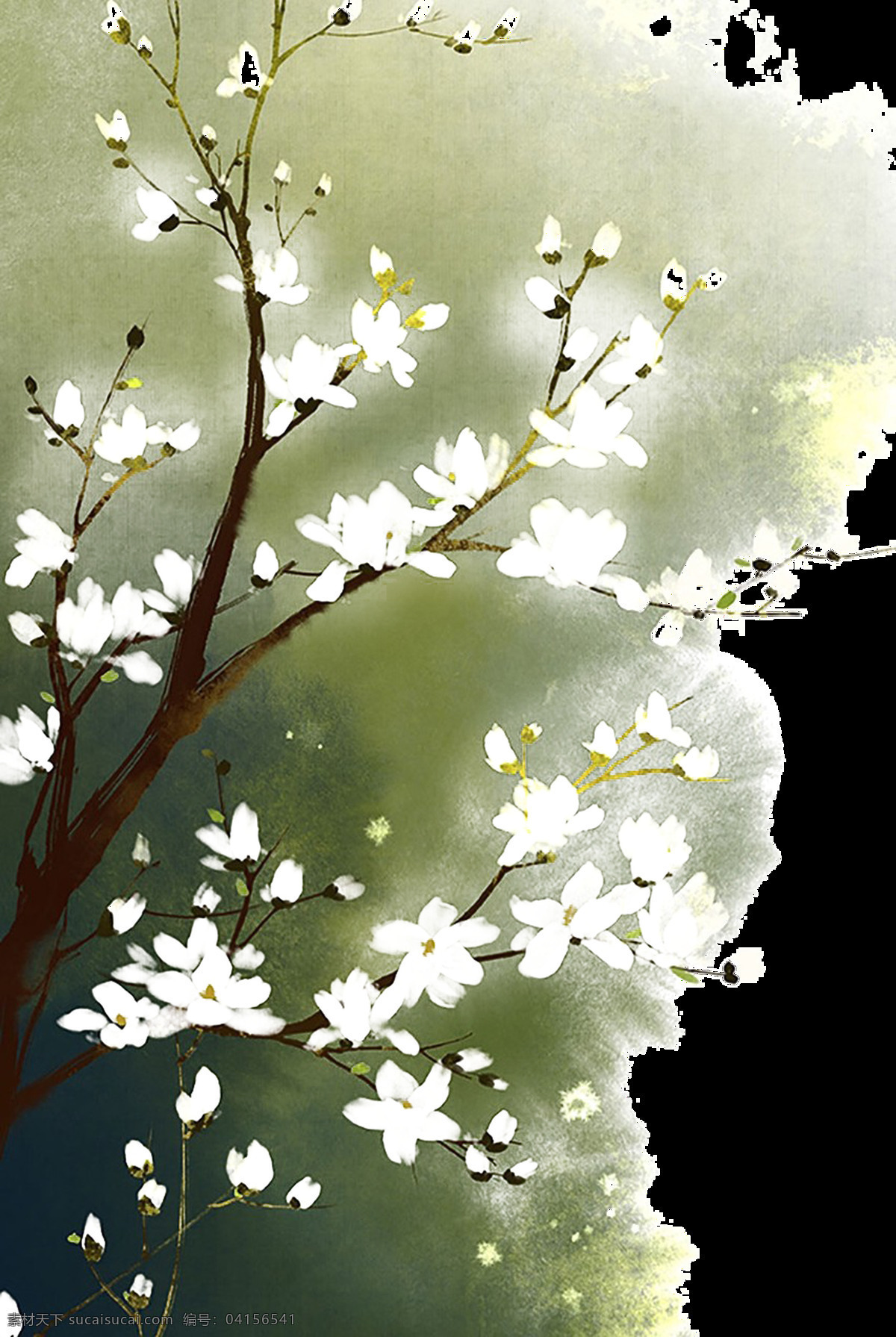 渐变 水彩画 透明 装饰 免 扣 白色 创意 花朵 墨绿 树枝 透明素材